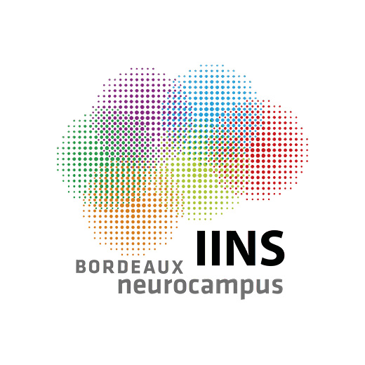 Interdisciplinary Institute for Neuroscience, Bordeaux
